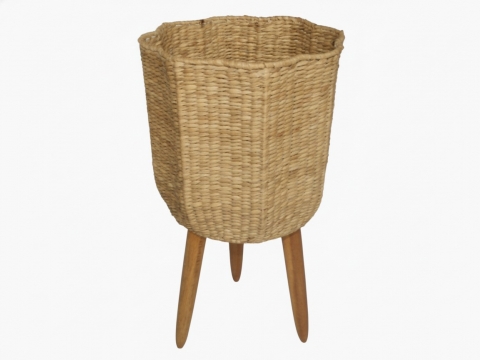 Vietnam seagrass planter